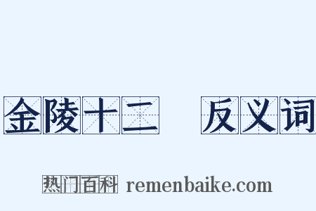 金陵十二釵反义词是什么意思的图片